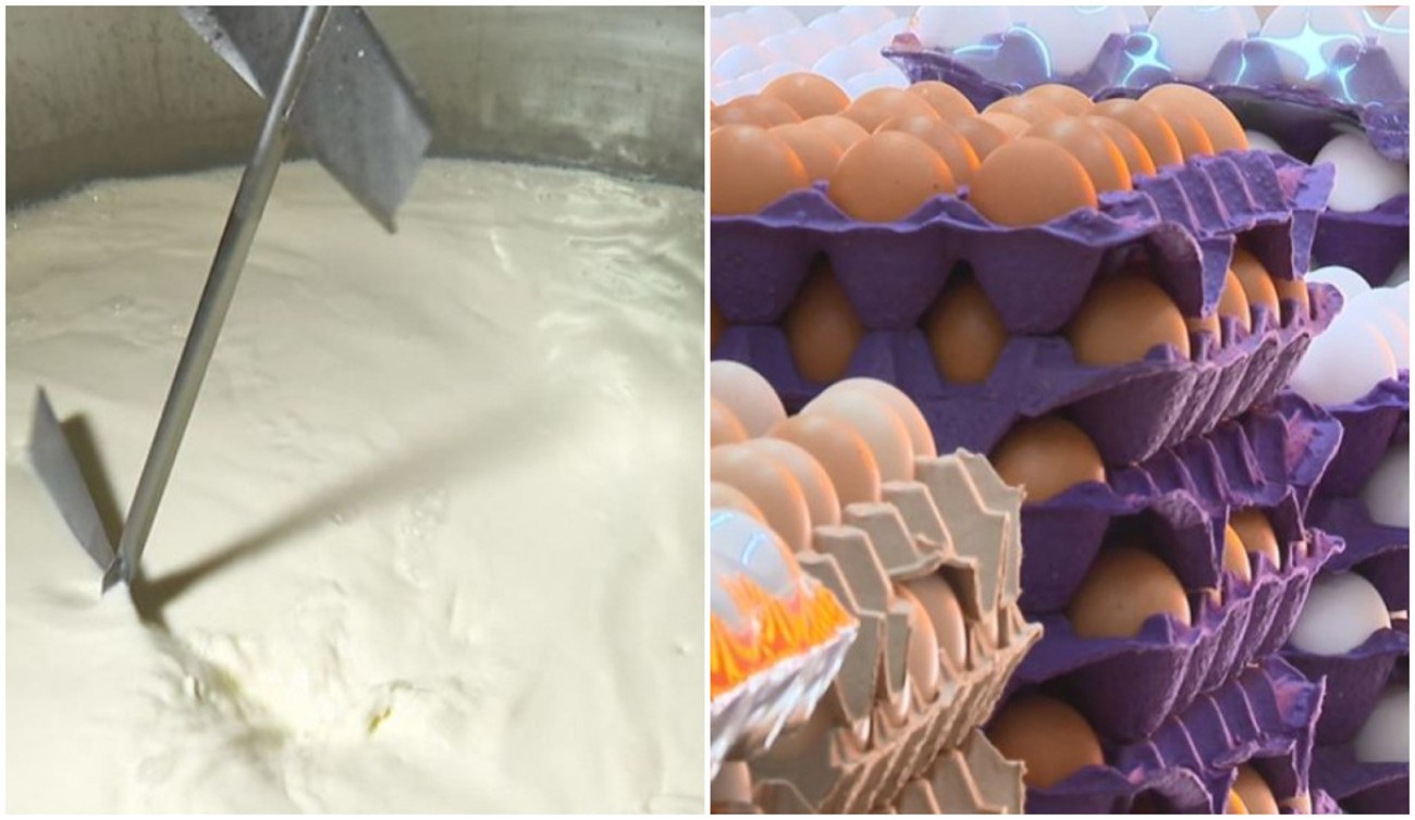 Você Não Tá Convidada pro Meu Bat Mitzvá!