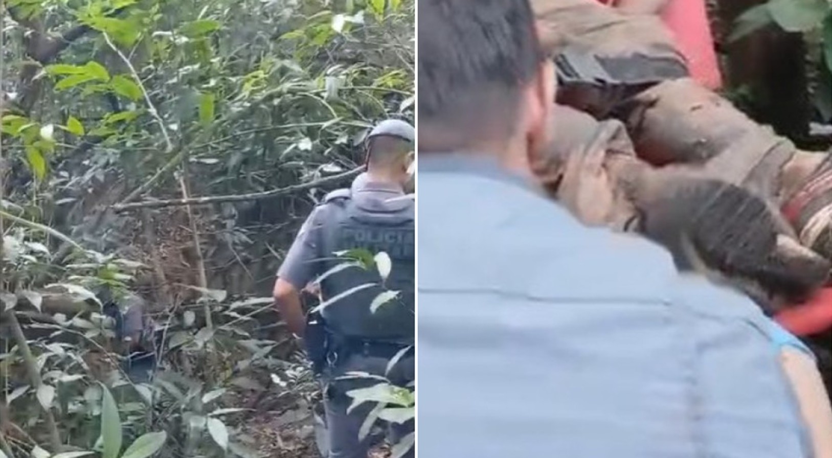 Suspeito de tentativa de furto é atacado por quatro pitbulls ao invadir chácara em Franca, SP