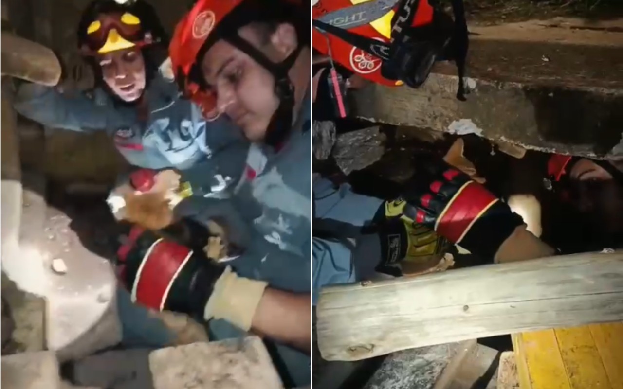 VÍDEO: bombeiros resgatam filhote de gato preso em bueiro na véspera do Réveillon em Itapeva