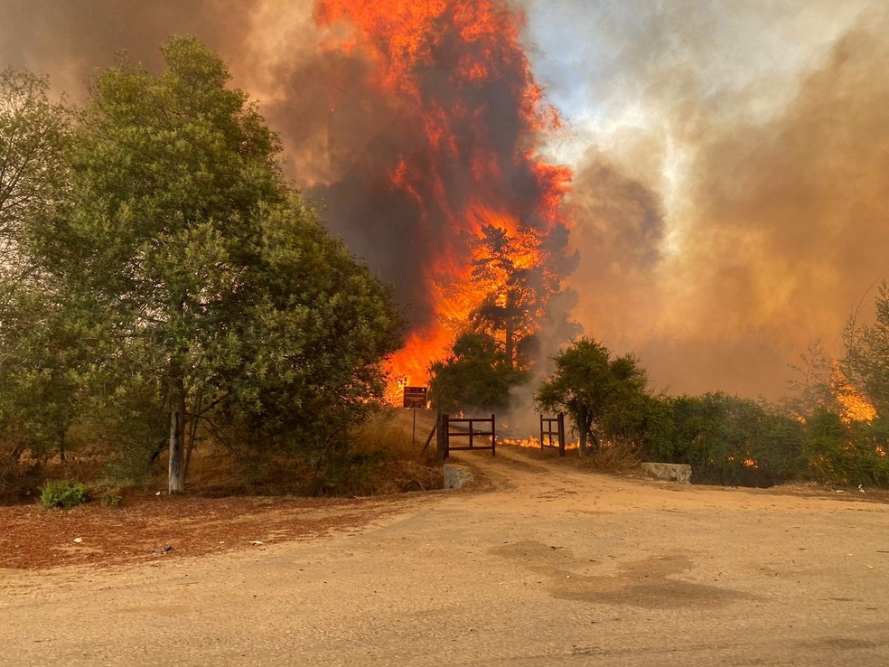 Incndio florestal no Chile atinge rea da Reserva Nacional Peuelas, prxima a Valparaso, em 2 de fevereiro de 2024.  Foto: Corpo de Bombeiros do Chile via Reuters