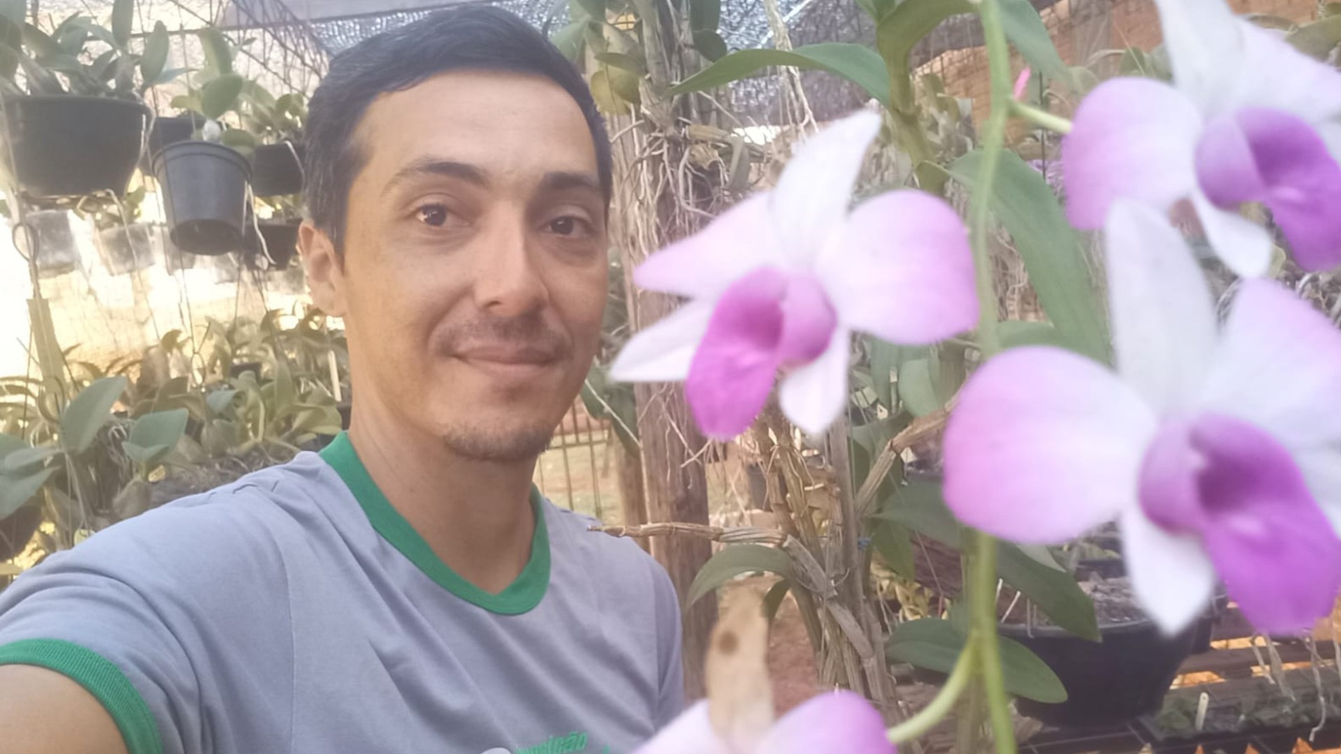 Cultivo de 400 orquídeas é terapia de promotor de vendas que há 17 anos se apaixonou pela planta