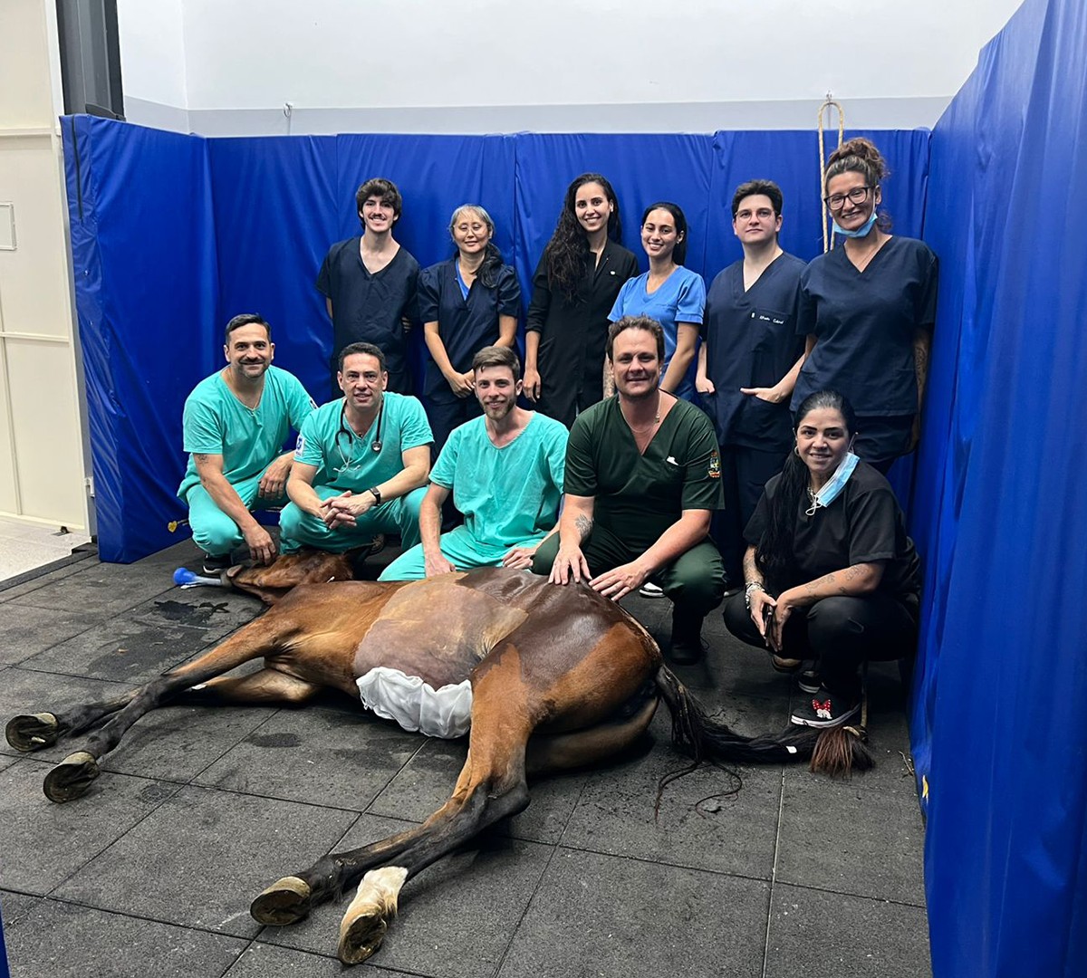 UNITAU realiza primeira cirurgia de equino na Clínica Veterinária