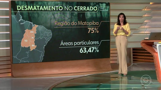 Cerrado brasileiro perdeu 11 mil quilômetros quadrados de vegetação; Míriam comenta - Programa: Bom Dia Brasil 