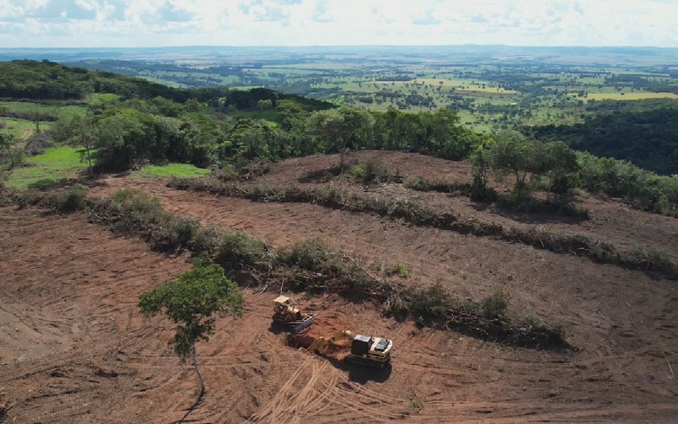 Área de desmatamento em Goiás — Foto: Reprodução/TV Anhanguera
