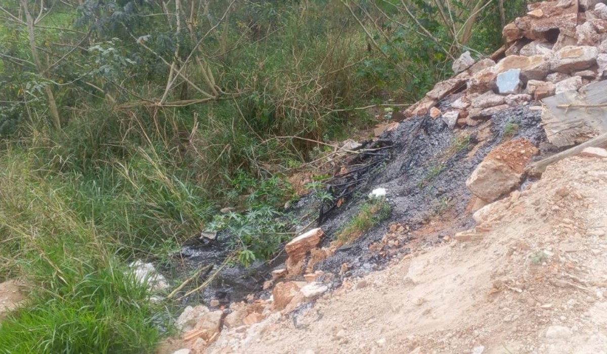 Polícia investiga morte de cão que ficou grudado em piche em Americana