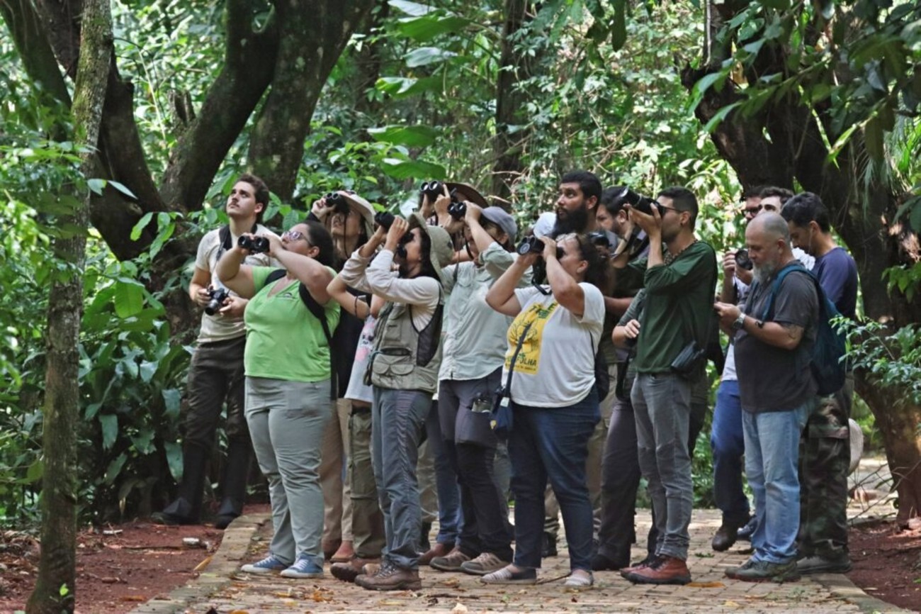 Observação de aves terá saídas guiadas durante a COP15 em Campo Grande