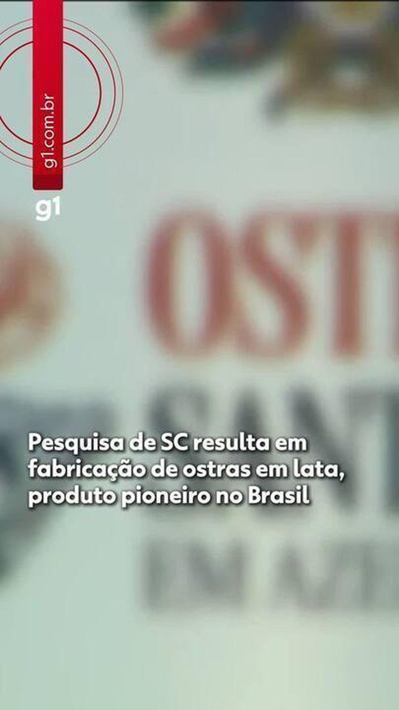 Produção pioneira no Brasil de ostra em lata tenta driblar instabilidades na maricultura e dar mais opções a turistas