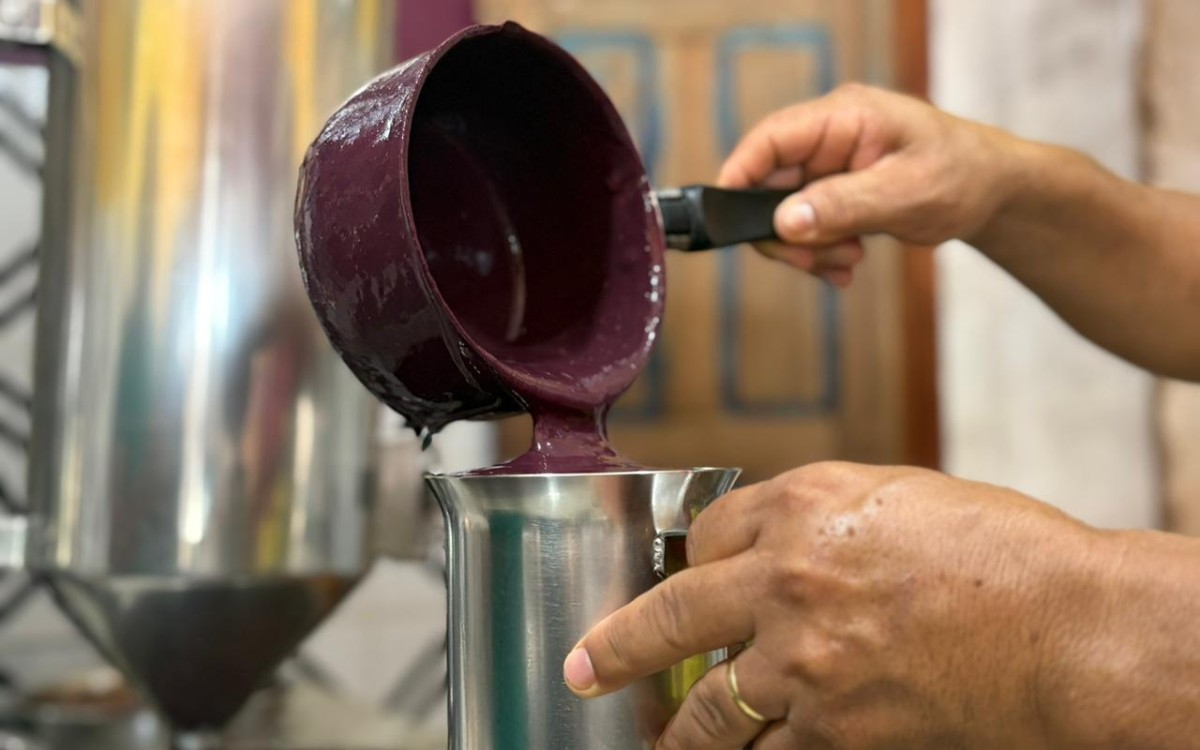 Extrativistas do Amapá apostam em retomada das exportações de açaí após fim das tarifas dos EUA