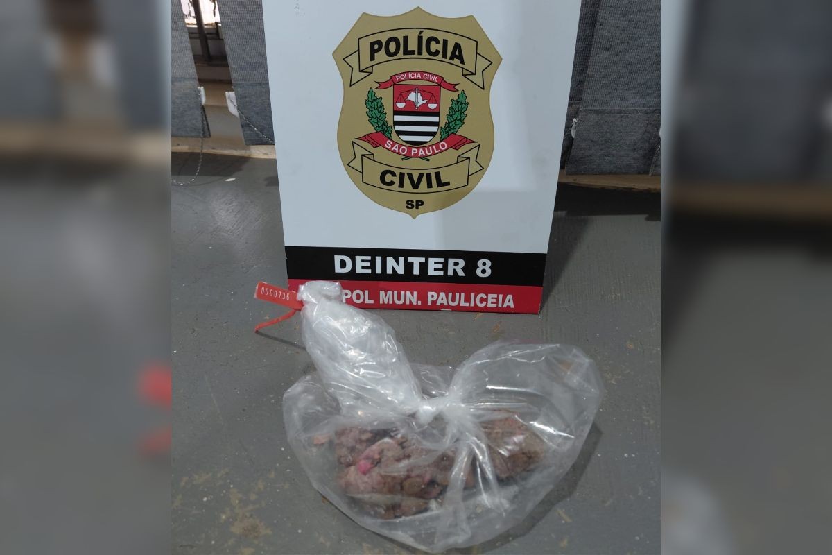Suspeita de colocar veneno em carne e matar animais é identificada em Paulicéia