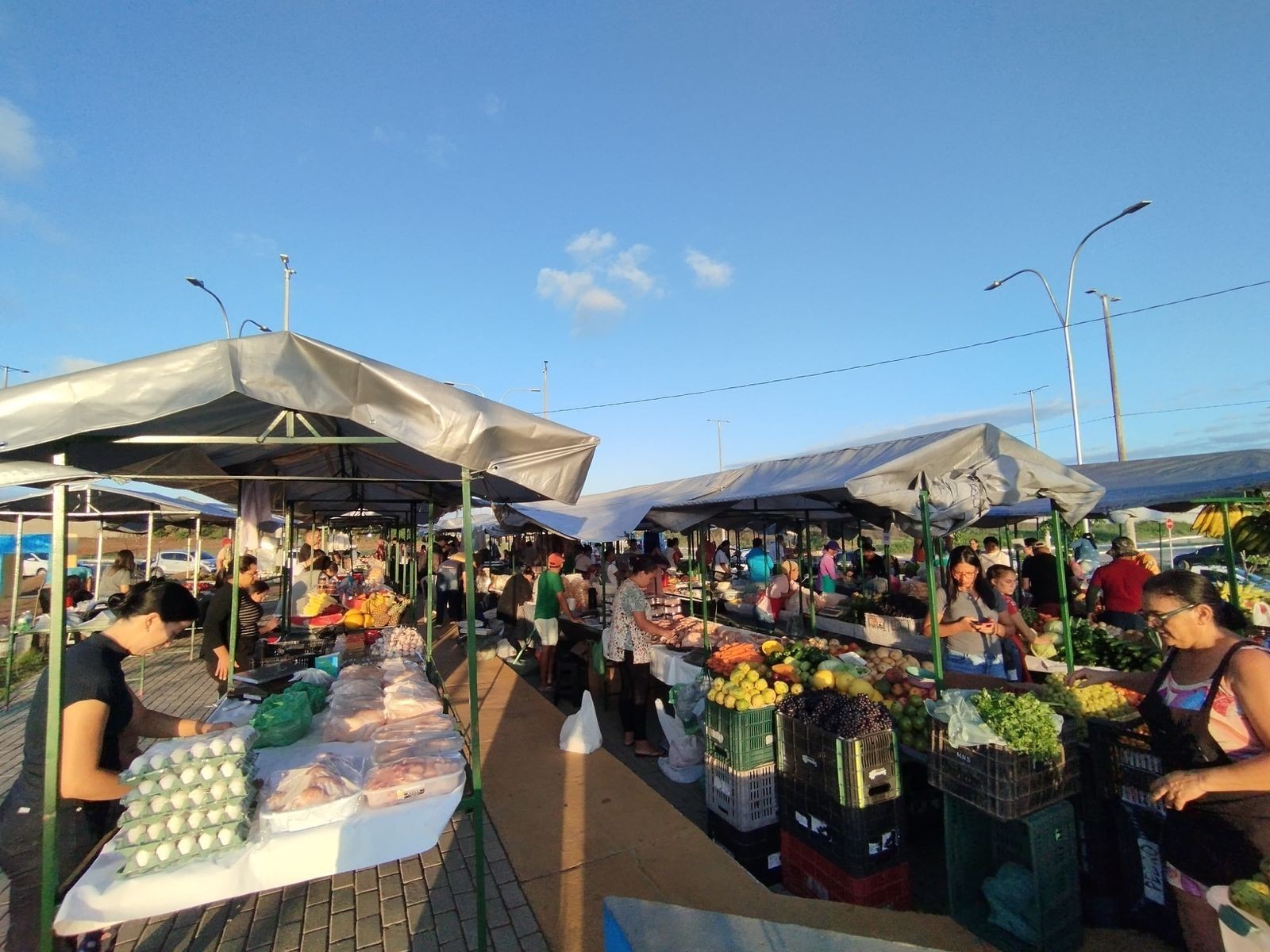 Feira do Xique-Xique passa a funcionar em novo local a partir de sábado, confira
