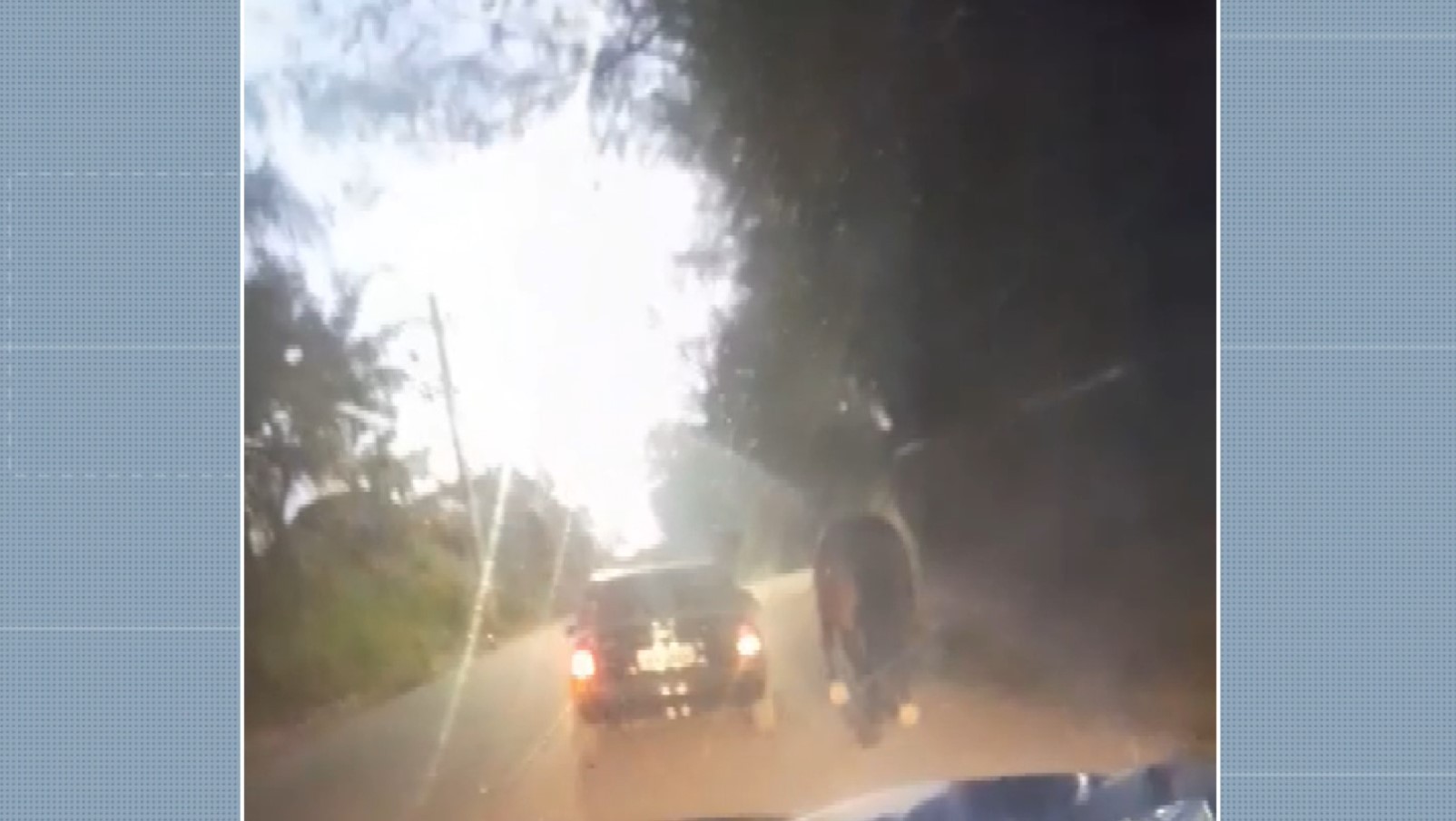 VÍDEO flagra cavalo amarrado a corda sendo puxado por carro em Indaiatuba