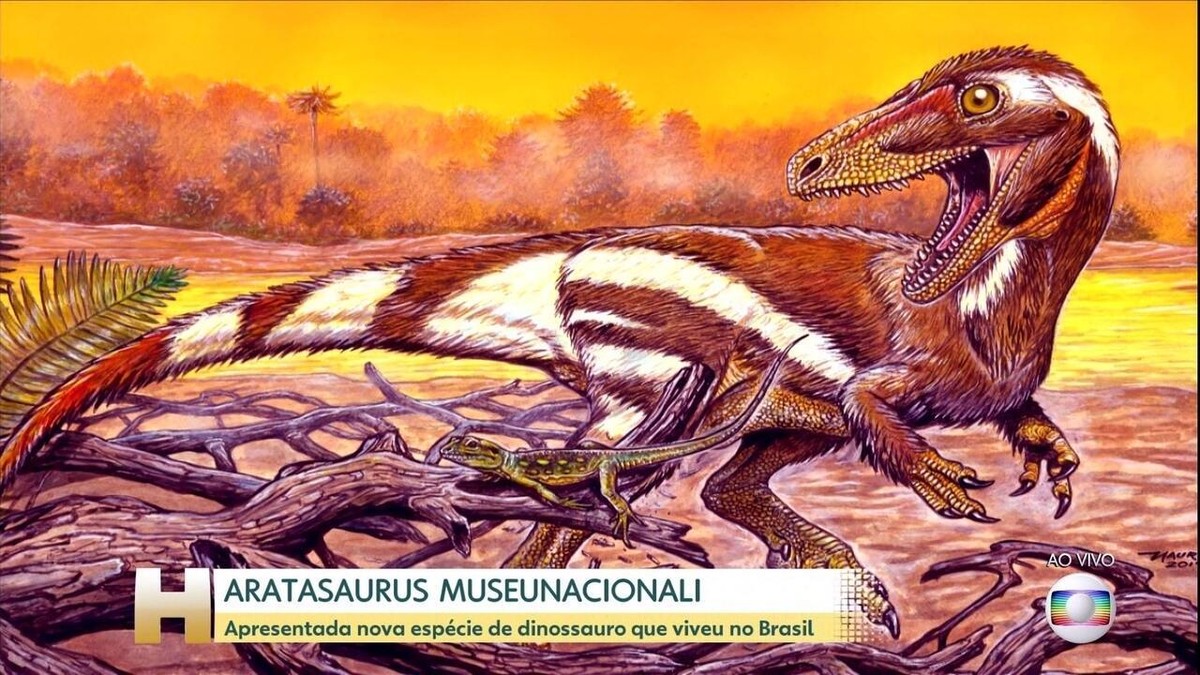 Descoberta a espécie mais antiga de dinossauro do Ceará | Ceará | G1