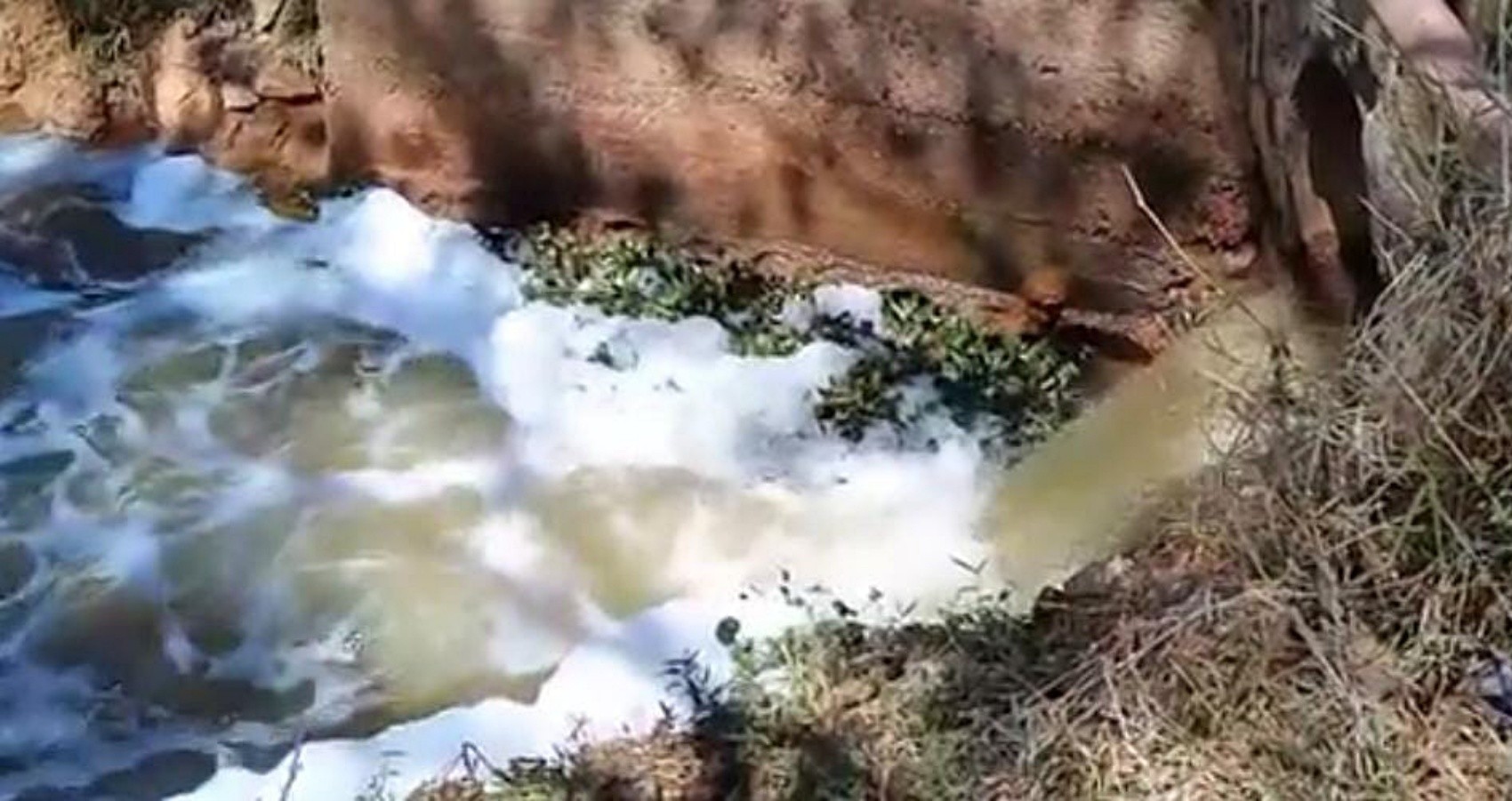 Água verde e com espuma em ribeirão que deságua na represa Bortolan preocupa moradores; prefeitura de Poços de Caldas investiga