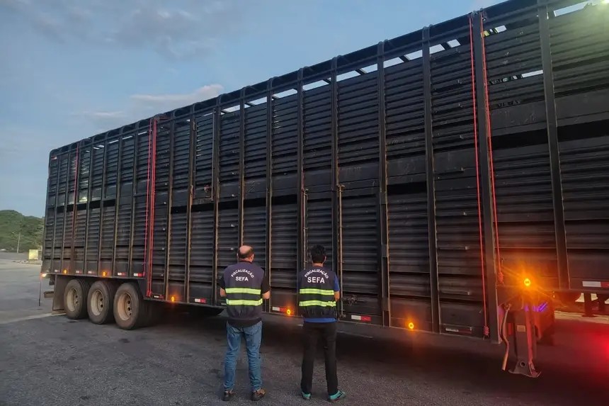 Mais de R$ 1 milhão em cargas irregulares é apreendido no Nordeste e Oeste do Pará