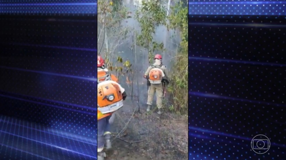 Combate às chamas é dificultoso dentro da floresta. — Foto: Reprodução / TV Globo