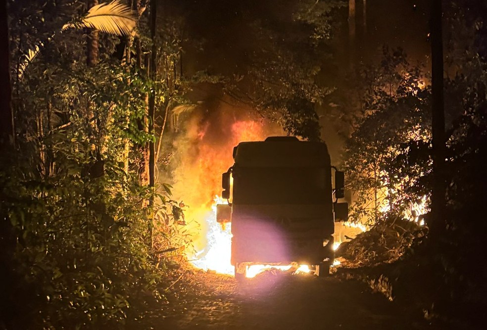 Operação mobilizou agentes da PF, PRF e Ibama — Foto: Divulgação