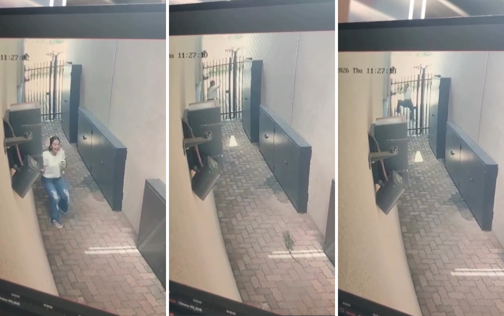 Estudante se assusta com lagarto e 'escala' portão em Barretos, SP; VÍDEO