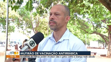 Mutirão de vacinação antirrábica leva imunização para câes e gatos de Palmas