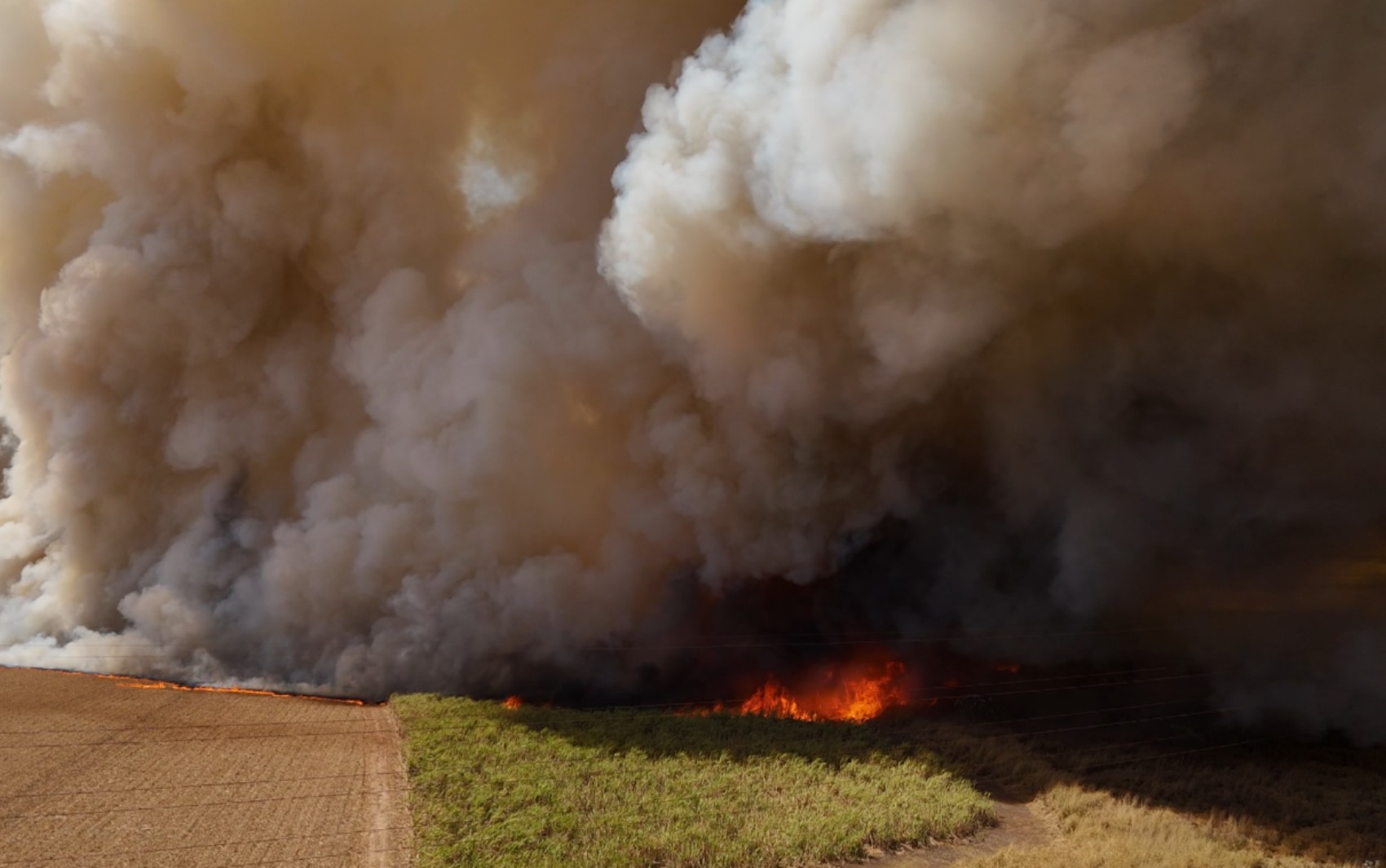 Sobe para 11 o número de suspeitos presos por incêndios no estado de São Paulo