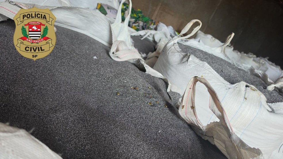 Polícia aprende carga de sementes avaliada em mais de R$ 1 milhão em Presidente Venceslau (SP) — Foto: Reprodução/Polícia Civil
