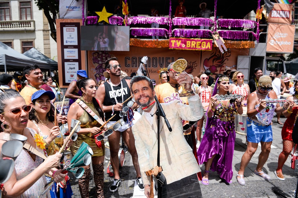 Foliã faz homenagem ao ator Wagner Moura no bloco Fogo e Paixão — Foto: Alex Ferro / Riotur
