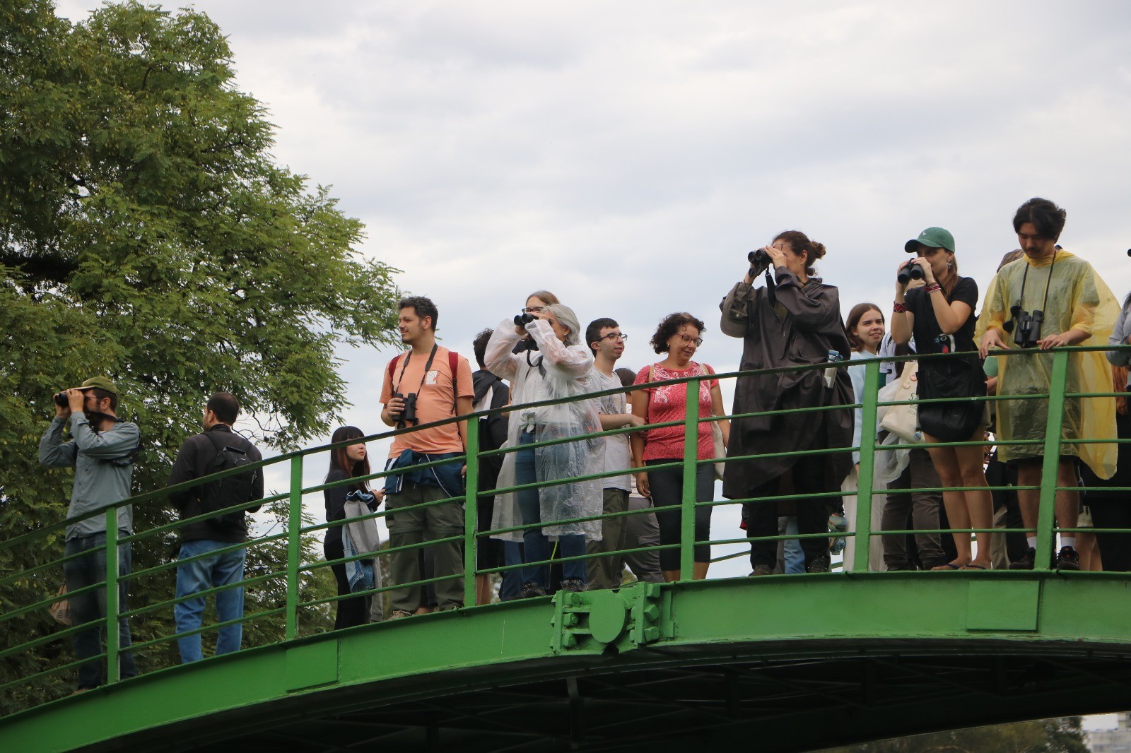 Fugindo do concreto: projeto tem passeios gratuitos para observar aves em parques de SP