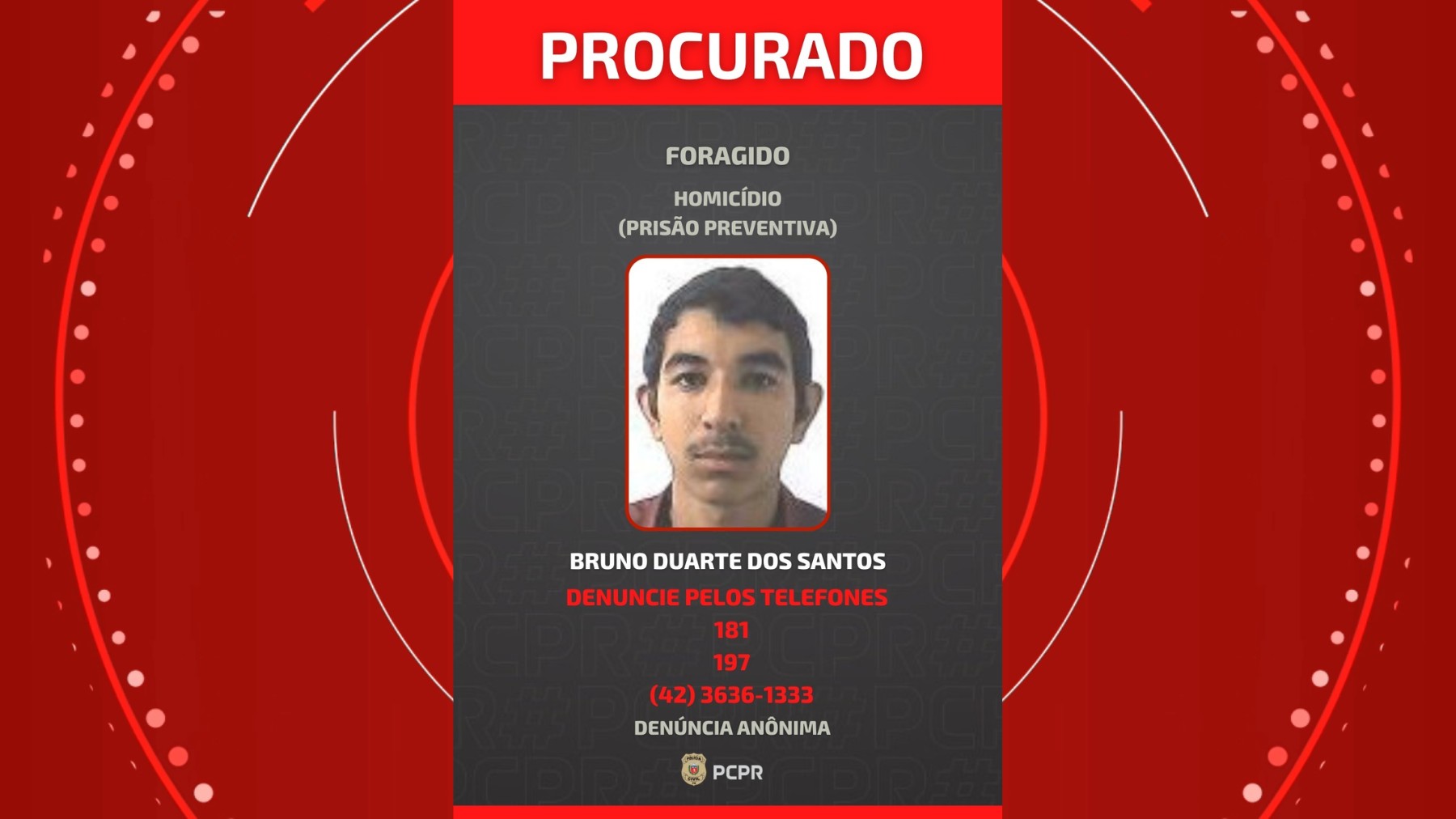 Jovem é acusado de matar agricultor após comprar porco por R$ 3 mil e ser cobrado, no Paraná
