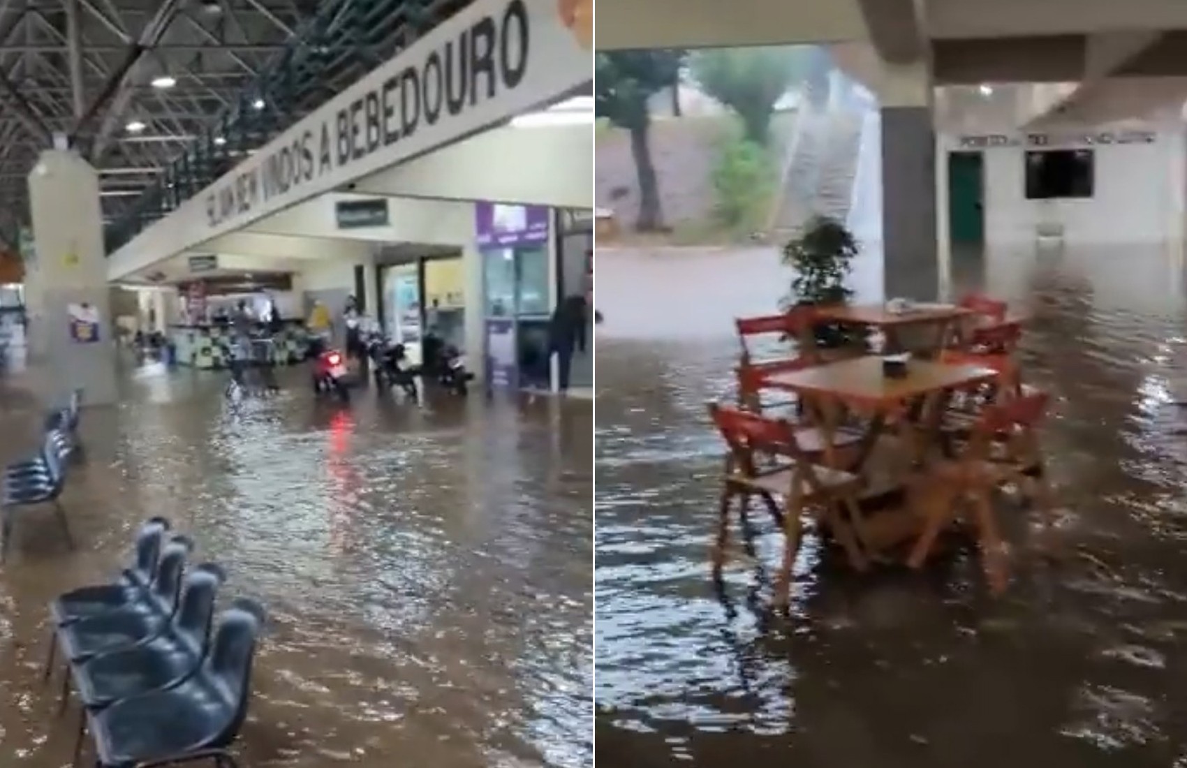 Chuva e ventos de 91 km/h causam estragos em Bebedouro, SP