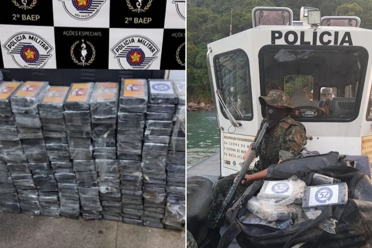 Tráfico internacional: MPF denuncia grupo ligado à máfia italiana | G1