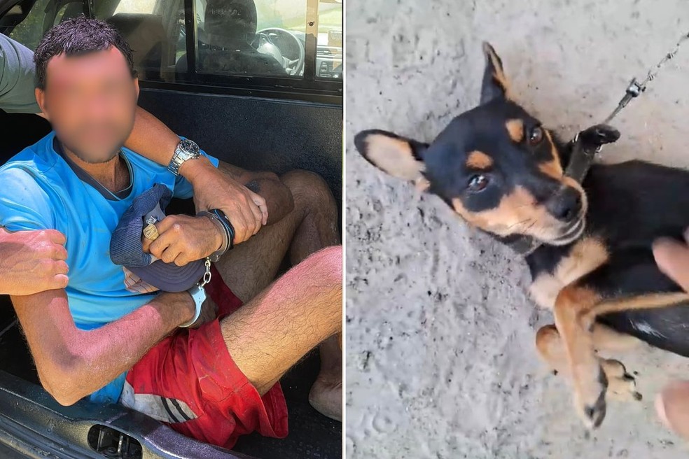 Homem foi preso após tentar matar padrasto de 78 anos e maltratar cadela — Foto: Polícia Civil/Divulgação