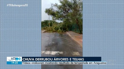 Chuva derruba árvores e causa estragos em Araguaína