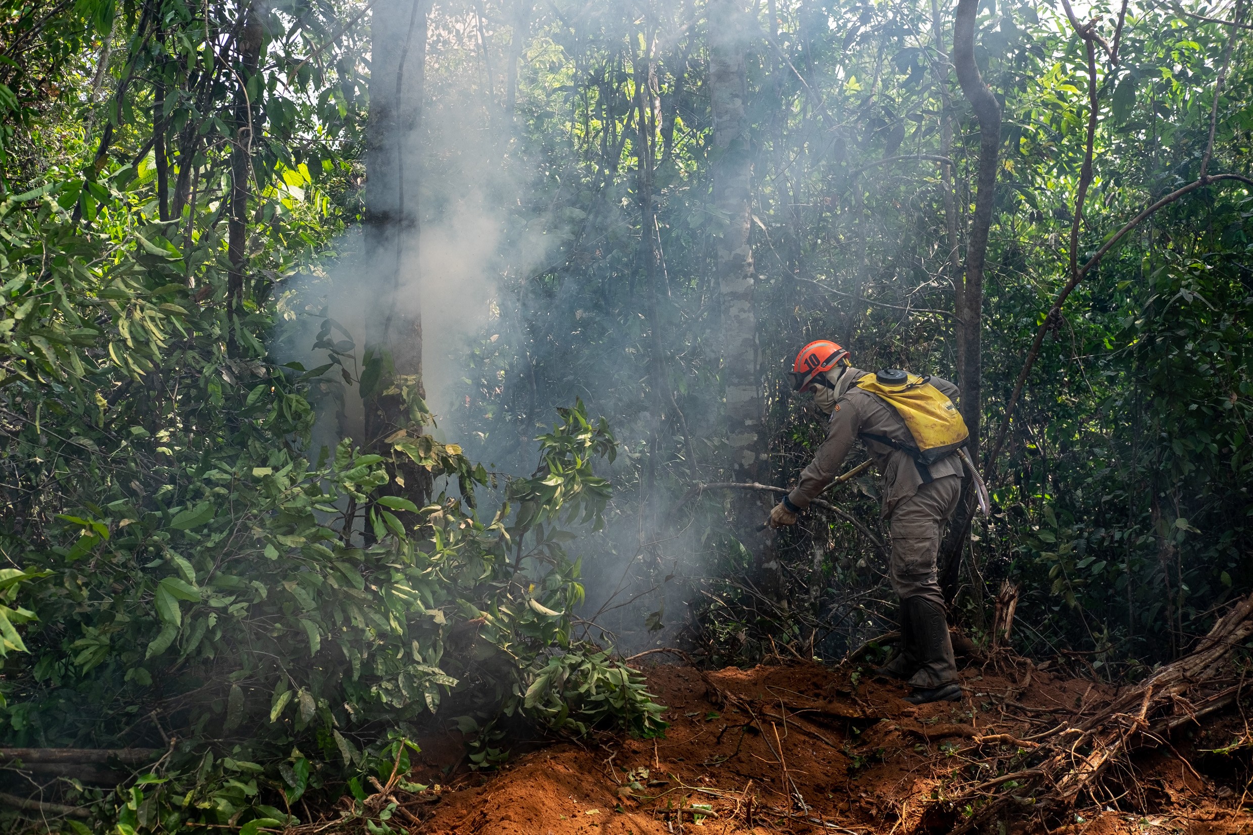 Período proibitivo de uso do fogo tem prazos diferentes para Amazônia, Cerrado e Pantanal em 2024; veja datas