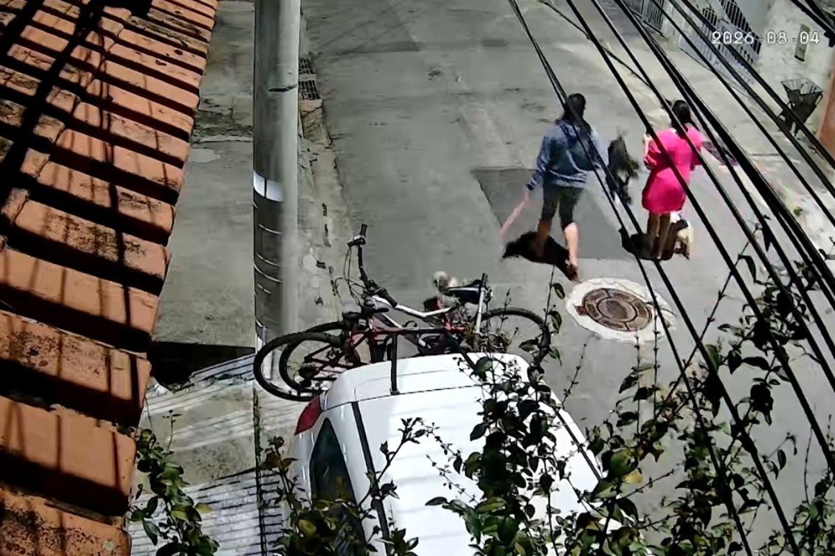 Vídeo mostra ataque de cão a filhote de 3 meses; menina de 11 anos fica ferida ao tentar ajudar em São José