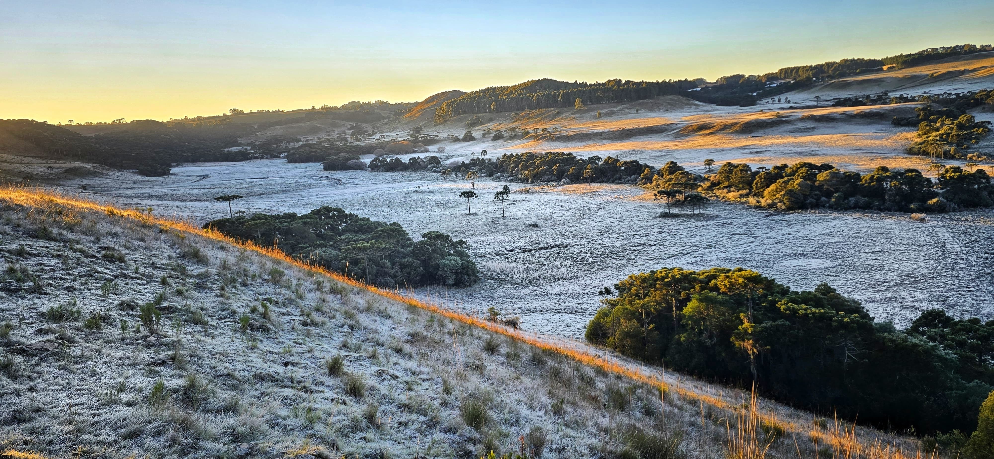 Camisa congelada, geada e -6ºC marcam o dia mais frio do ano em SC
