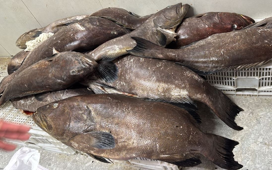 Armazenamento irregular e produtos vencidos: restaurante na praia do Bessa, em João Pessoa, é interditado por irregularidades sanitárias