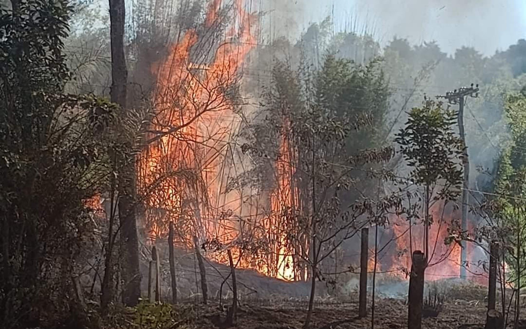 Incêndio queima um hectare de propriedade às margens da MGC-383, em Itajubá, MG