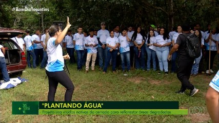 Mais Sustentável: projeto usa mudas do cerrado para reflorestar áreas degradadas