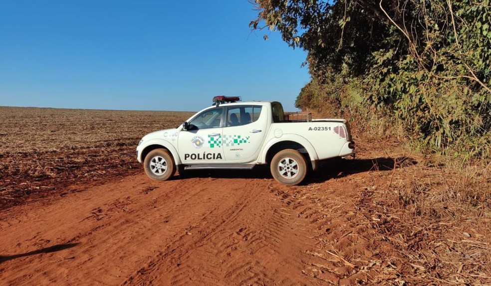 Número de incêndios em vegetação cresce e ultrapassa 260 casos em maio na região de Presidente Prudente (SP) — Foto: Polícia Militar Ambiental/Divulgação