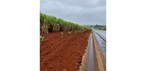 Santa Gertrudes une pesquisa, tecnologia e ações para melhorar a qualidade do ar — Foto: Crédito: Divulgação.