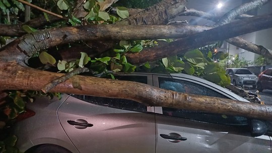 Ciclone no Sul provoca ventos de até 110 km/h e chuva intensa em várias regiões do país - Frente fria avança pelo Sudeste e traz risco de granizo no Centro-Oeste; temperatura despenca em SP a partir de terça (29)