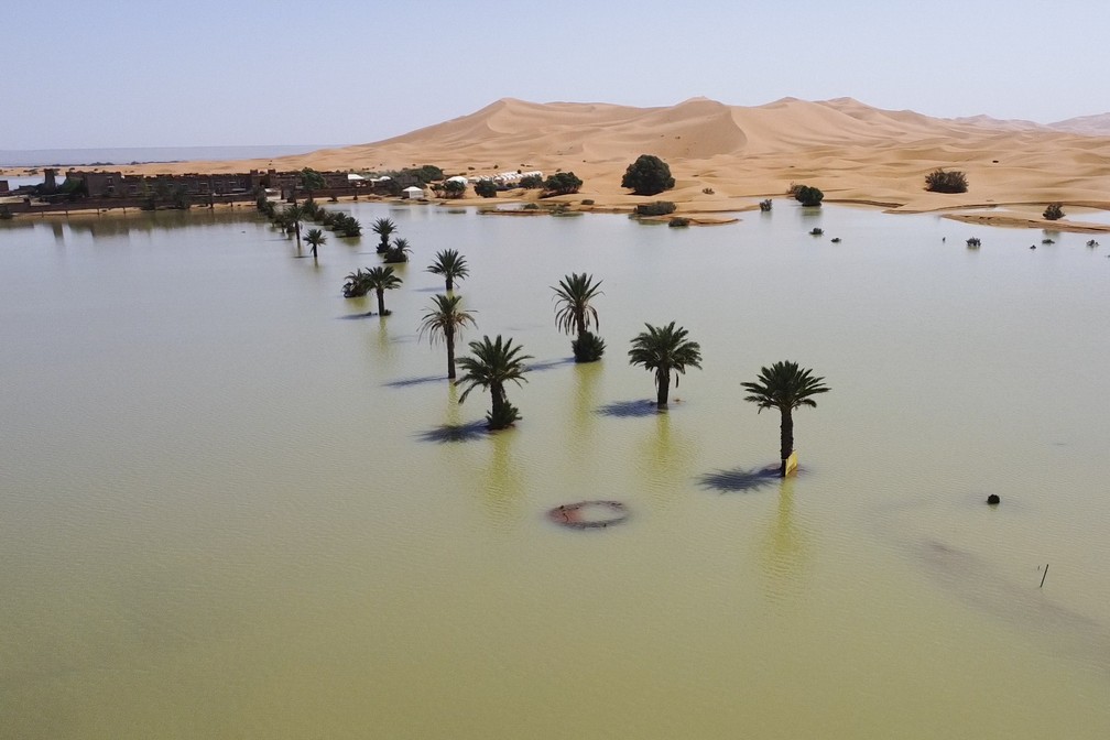Palmeiras submersas em lagoa formada pela intensa chuva em Merzouga, Marrocos, em 2 de outubro de 2024. — Foto: AP Photo