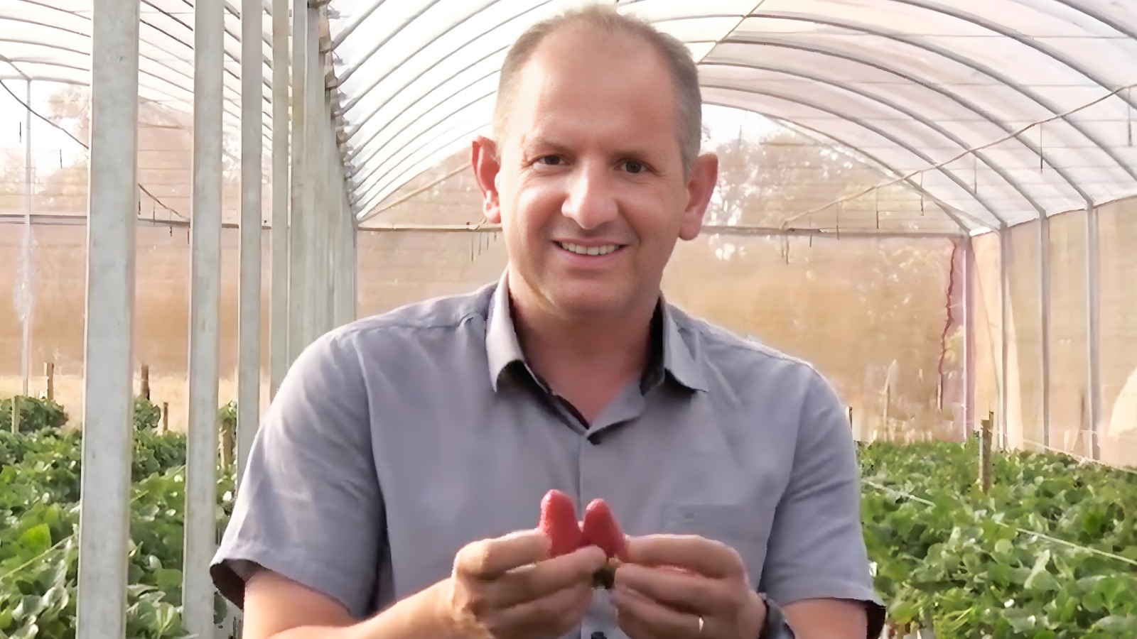 “Festival do Morango” deve fazer parte do Calendário Oficial de Pouso Alegre