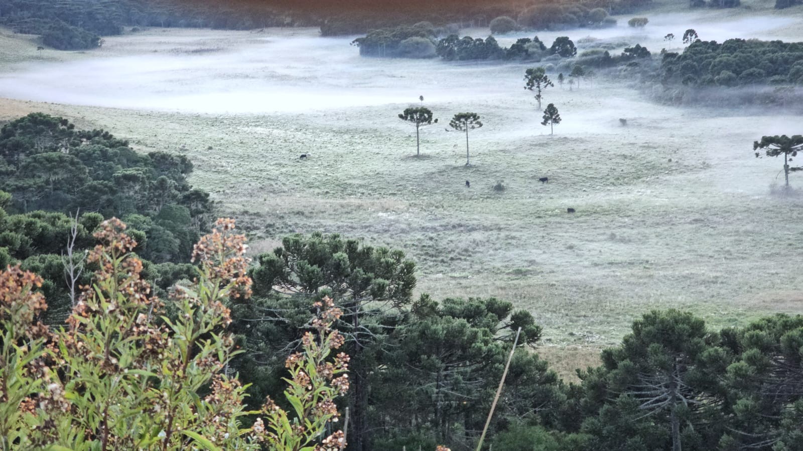 Outono começa com geada e temperatura de 2,1°C na Serra Catarinense; FOTOS