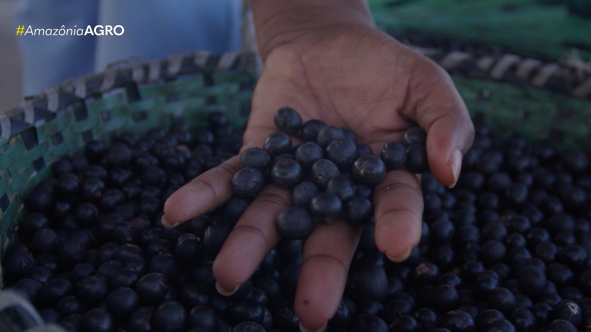 Amazônia Agro de domingo, 03 de maio de 2026