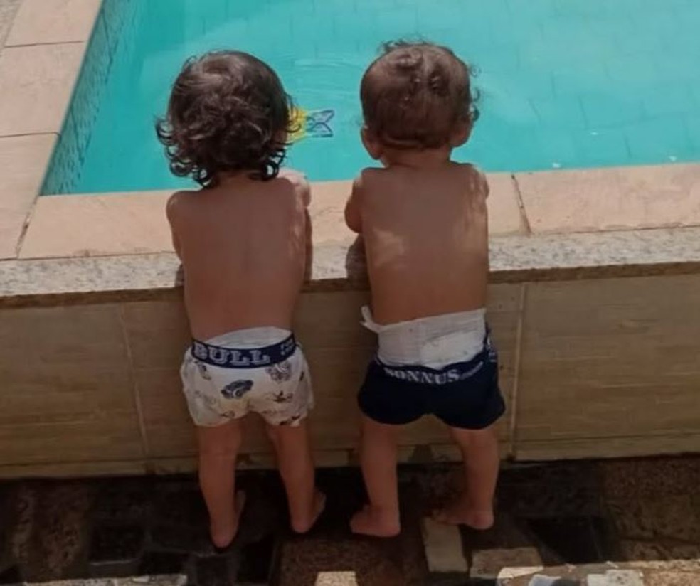 Gêmeos de 1 ano que morreram afogados em Ubá — Foto: Divulgação