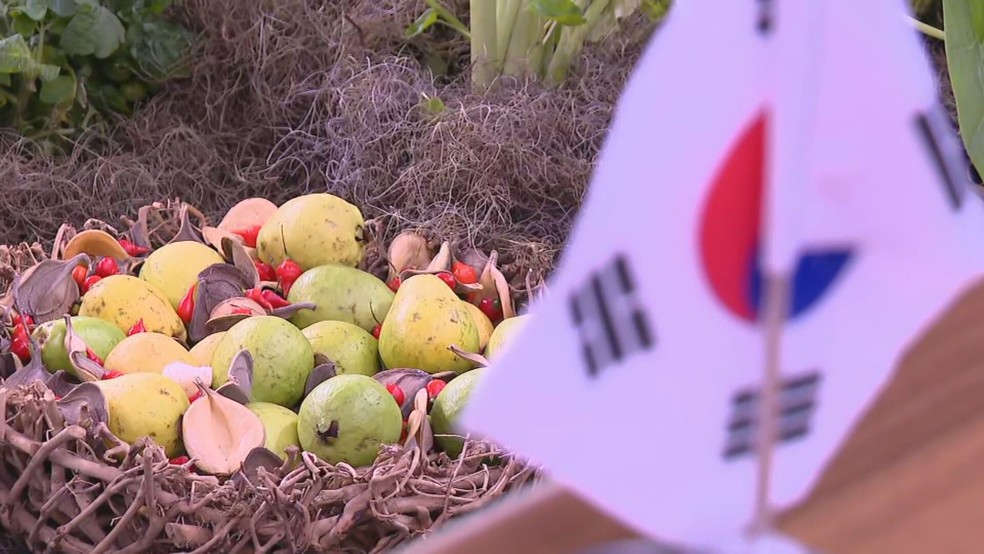 G20: agrofloresta usada para decorar mesa de discussões de chefes de Estado foi criada por mulheres do Morro da Providência — Foto: Reprodução/TV Globo