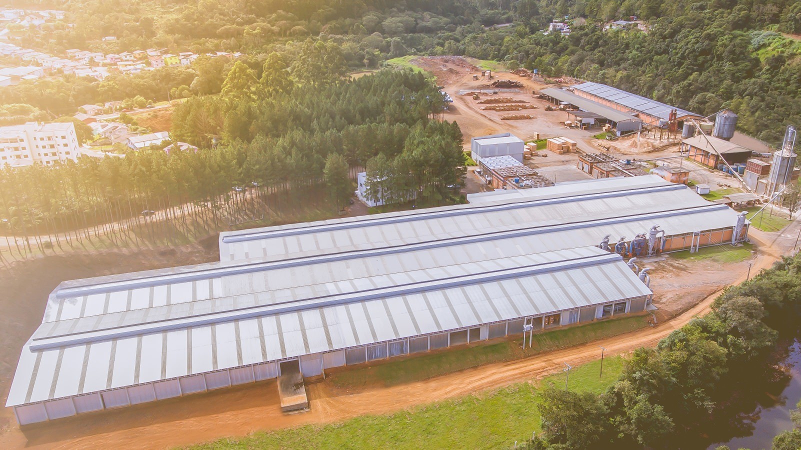 Empresa do setor madeireiro em SC dá férias coletivas a quase 500 funcionários após tarifaço de Trump