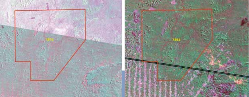 Mapas da Terra Indígena das décadas de 1980 e 1970 sobre a evolução do desmatamento — Foto: Site Paiter Suruí/Reprodução