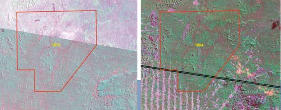 Mapas da Terra Indígena das décadas de 1980 e 1970 sobre a evolução do desmatamento — Foto: Site Paiter Suruí/Reprodução