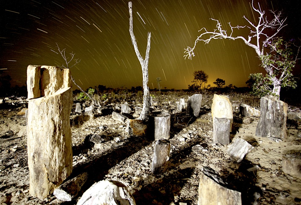 Monumento Natural das Árvores Fossilizadas no Tocantins — Foto: Ricardo Martins
